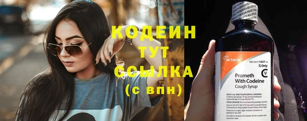 не бодяженный Киренск