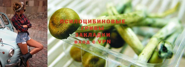 стаф Кинешма