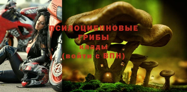 стаф Кинешма
