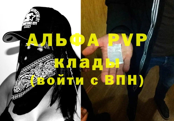 стаф Кинешма