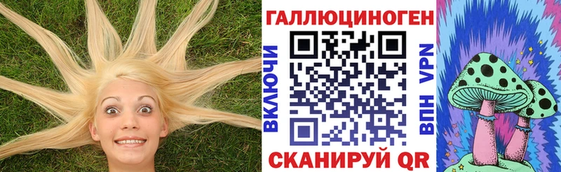 Купить закладки  Гагарин  Галлюциногенные грибы GOLDEN TEACHER 
