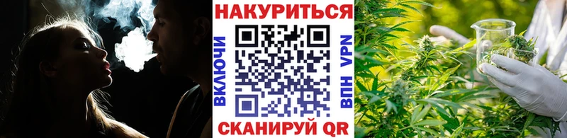 Конопля индика Гагарин